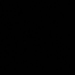 Meet your Posher, Martin